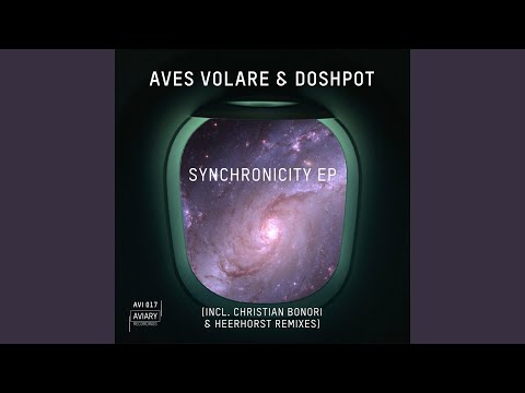 Synchronicity (Heerhorst Remix)