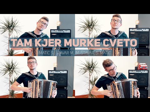 Štavar Matic - Tam kjer murke cveto (S.V. Avsenik)