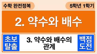 [개념수학] 3. 약수와 배수의 관계 - 5학년 1학기 수학 2단원 약수와 배수