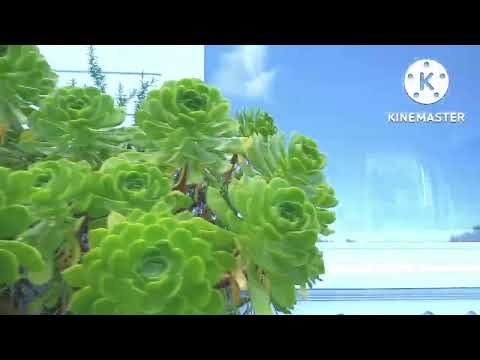 Welcome to Wellington New Zealand