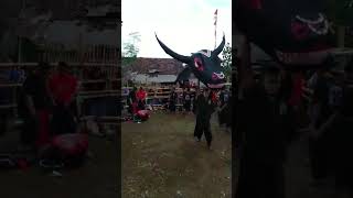 Download lagu NGERI!! BANTENG TERBESAR YANG PERNAH ADA #bantengankalap #bantenganmalang #jaranan #bantenganbanteng mp3 Download lagu NGERI!! BANTENG TERBESAR YANG PERNAH ADA #bantengankalap #bantenganmalang #jaranan #bantenganbanteng mp3