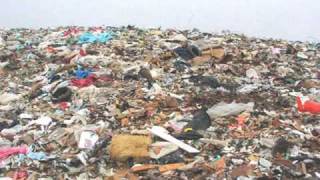 The Balad of Willie Wimple