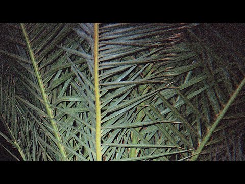 This Day Won’t Last