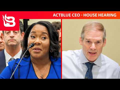 WATCH: ActBlue CEO 
