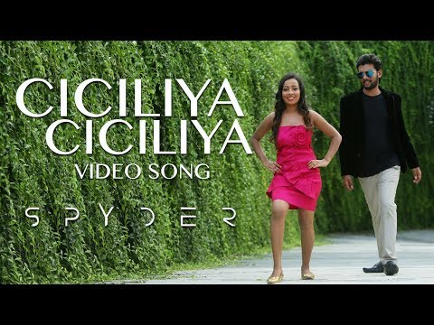Spyder Movie | Ciciliya Ciciliya Full Video Song | Sukumar, Likitha | TFCCLIVE