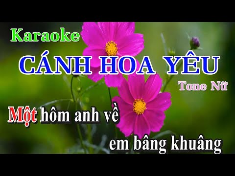 Cánh Hoa Yêu Karaoke Tone Nữ