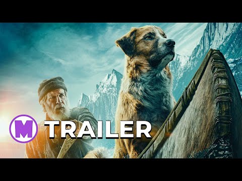 Chemarea străbunilor - The Call of the Wild - Subtitrat limba română - Februarie 2020