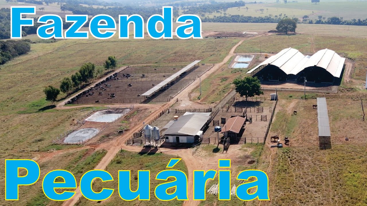 FAZENDA MODELO PARA PECUÁRIA - TODA ESTRUTURADA  - Cod.: FA00184