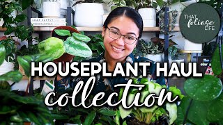 Houseplant HAUL from Sugarloaf Greenery Nursery