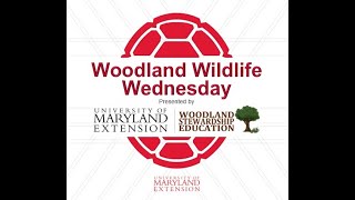 Maryland's Rare, Threatened, and Endangered Animals