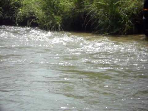 Off Road Vidin Ivanovci 04.07.2010  9.AVI