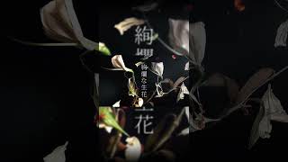 花たんLIVEツアー台北&新横浜チケット発売中‼️ #花たん #歌ってみた #生花 #歌い手