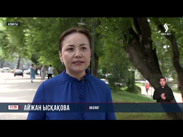 Тазалық табалдырықтан басталады