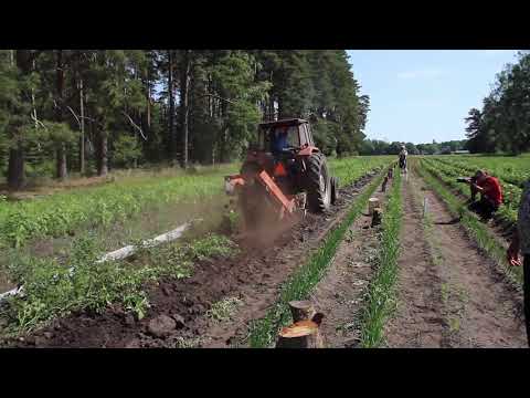 Landsbygdscoach - Potatisupptagning