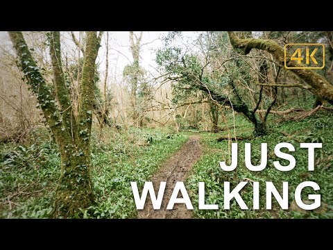 4K Virtual Hike Near a River and Forest | Vallis Vale Trail