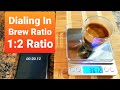 Dialing In Espresso | Brew Ratio 1:2 on Breville Barista Express