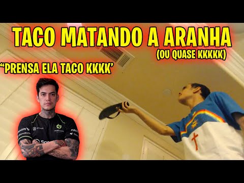 TACO FNX E COLDZERA TENTANDO M4TAR A ARANHA NO TETO KKKKKKKKKKKK