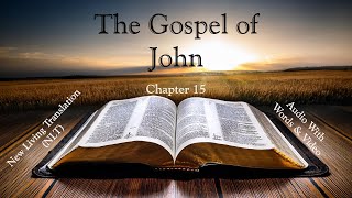 The Gospel of John, Chapter 15 - Holy Bible (NLT) - Audio with Words & Video