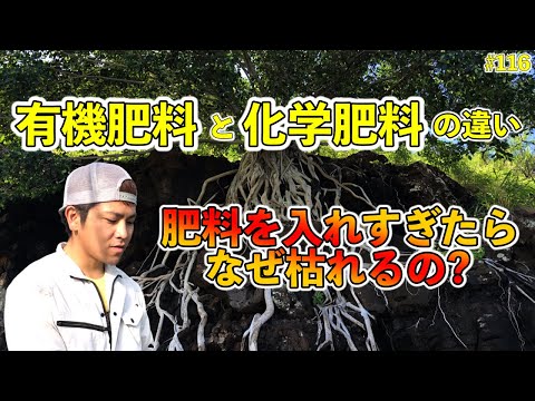 園芸 肥料の起源