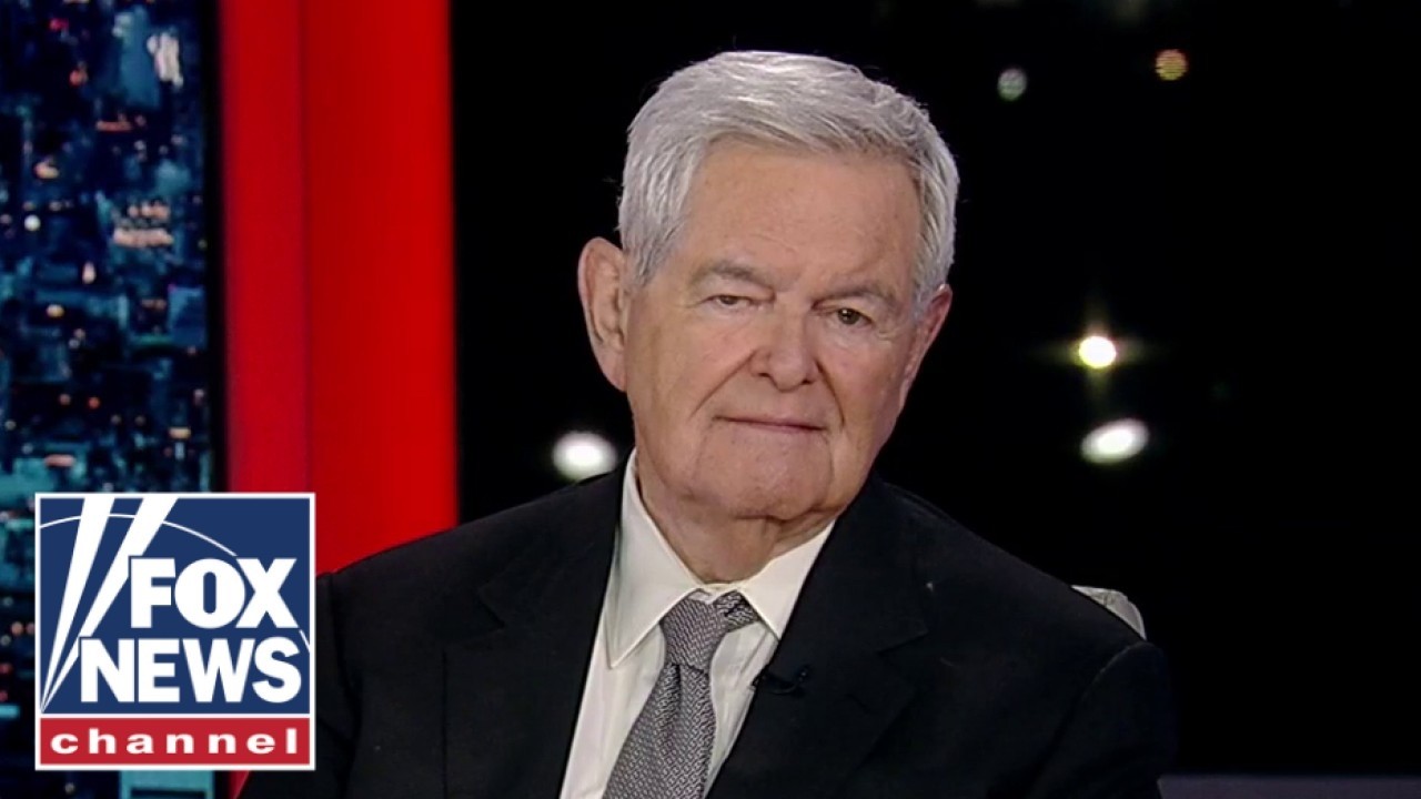 Trump himself is about 'half the story': Newt Gingrich