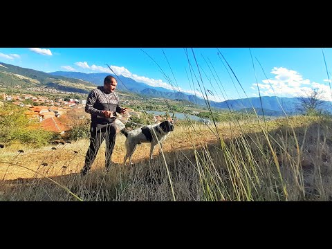 GERINSKI -OTKAKTO/ГЕРИНСКИ - ОТКАКТО