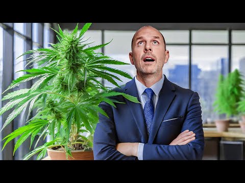 Cannabis-Legalisierung: Bundestag sagt JA - doch neue Probleme drohen! | Anwalt Christian Solmecke