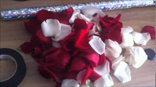 Confetti Cannon with Rose Petals Experiment