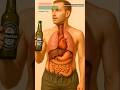 What Happens to Your Body When You Drink Alcohol? | Human Anatomy Explained