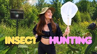 I Went Insect Hunting… And Found THIS 😳