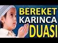 Bereket Duası | Karınca Duası Bol Rızık Ve işlerin Artması İçin Okunan Etkili Dua✅