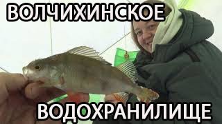 Отчеты о рыбалке волчихинское водохранилище 2020