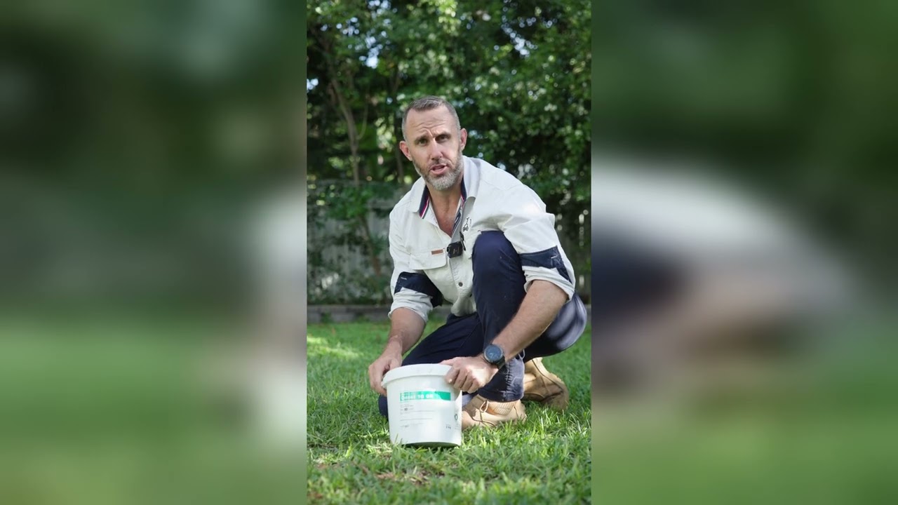 Pre Emergents: What Do They Do?