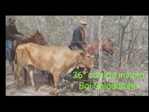 download lagu mp3 mp4 Boi, download lagu Boi gratis, unduh video klip Boi