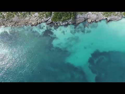 Beach Shore Aerial View