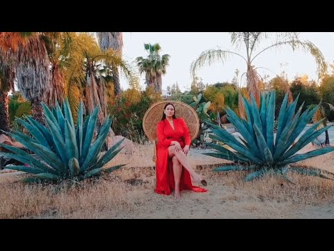 MONOGEM - Dame La Fuerza (Official Music Video)