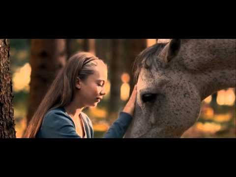 comment s'inscrire dans un centre equestre