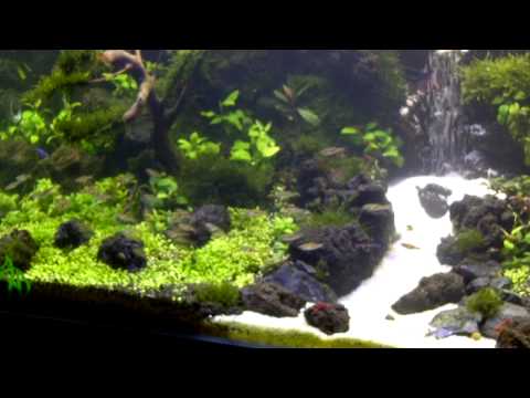 under water waterfall aquascape