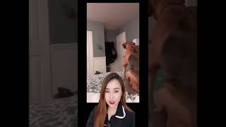 Download lagu SIGN OF THE DEVIL!! mp3