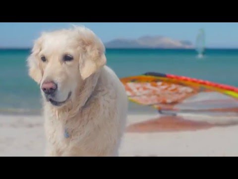 WDJ S01E02 Traveling Sardinia - Murta Maria