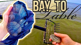 From BAY to Table: Catching Fresh Wild Clams & Cooking Seafood Cioppino