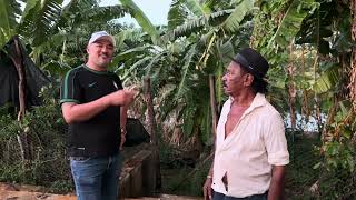 CHARLLES DESMASCARA TIRINGA NO NINHO DAS PINHAS | COMÉDIA SELVAGEM 