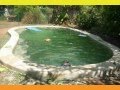 Five Star Concrete Pools And Spas In Darwin