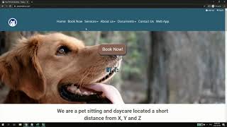 Easy Busy Pets video