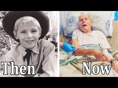 The Proud Rebel (1958) Besetzung DAMALS UND HEUTE 2023, Alle Darsteller starben auf tragische Wei...