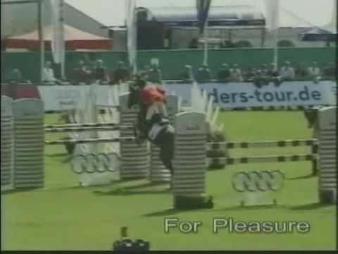 For Pleasure - Horse of the Century