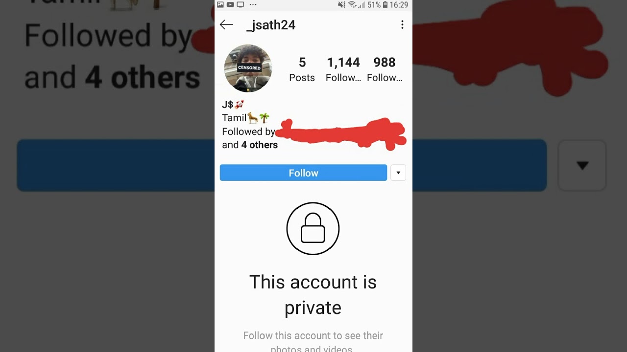 How to veiw private instagram account without following