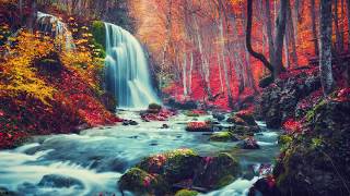 Beautiful Relaxing Piano Music, Instrumental Music, Rain sounds &quot;Autumn Rain&quot; by Tim Janis