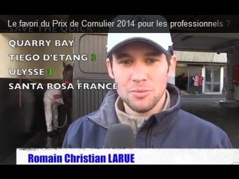 Le favori du Prix de Cornulier 2014 pour les professionnels ?