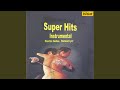 Main Teri Hoon Janam Instrumental
