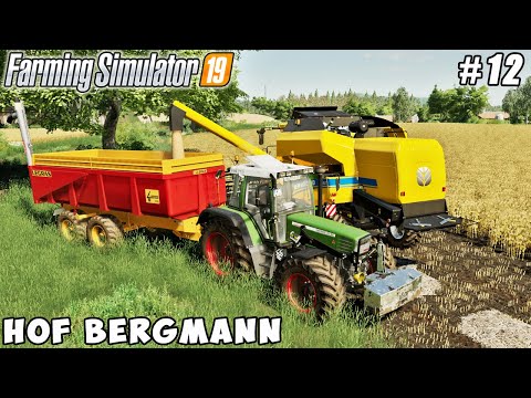 Caring for goats, harvesting soybeans & corn with new combine | Hof Bergmann | FS 19 | Timelapse #12
